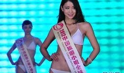 深圳潘小姐最新爆料,揭秘事件背后惊人真相